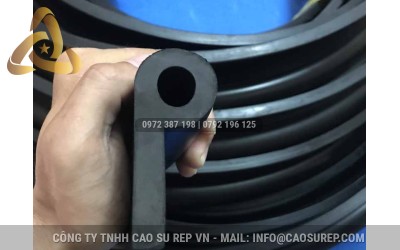 Tổng Quan Về Ron Cao Su Chữ P Trong Ngành Thủy Điện